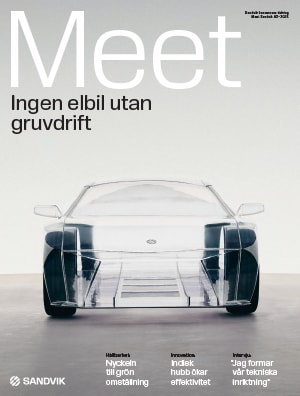 Bild på omslaget av möt sandvik